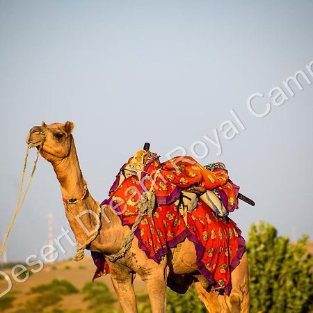 Hotel Desert Dream Royal Camp Jaisalmer Exterior foto